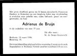 Bruin de Adrianus 1 (210).jpg